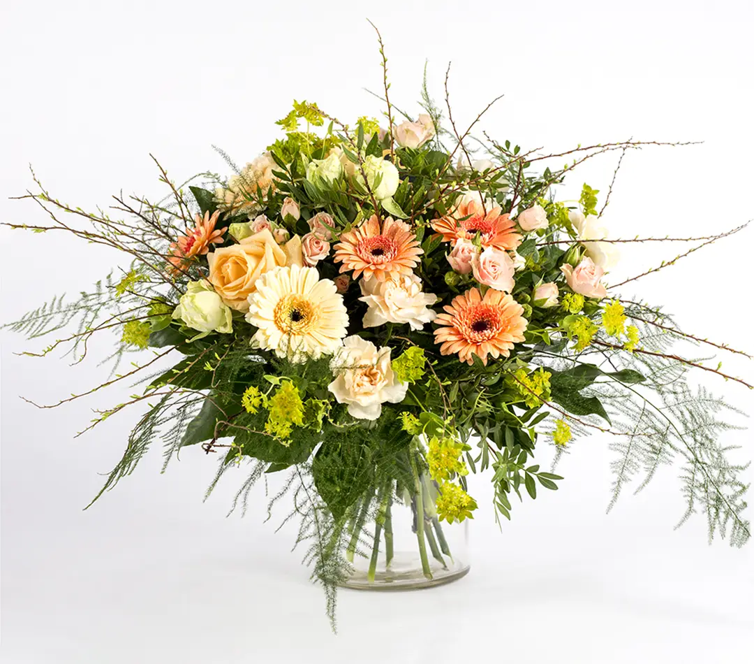 Transparent-Background-Services.