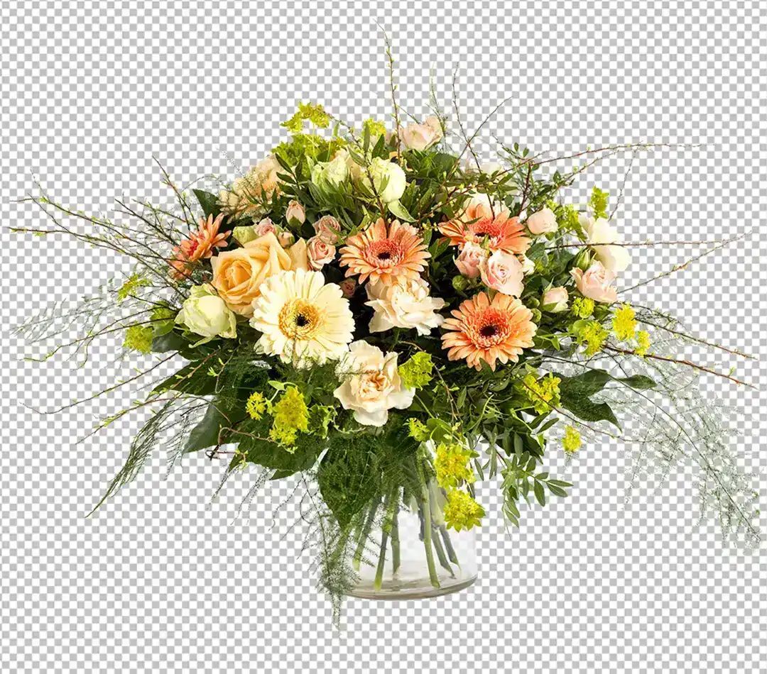 Transparent-Background-Services.